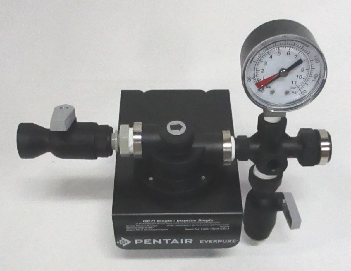 Everpure Single Filter Head Assembly;3/8";FNPT EV927241-75
