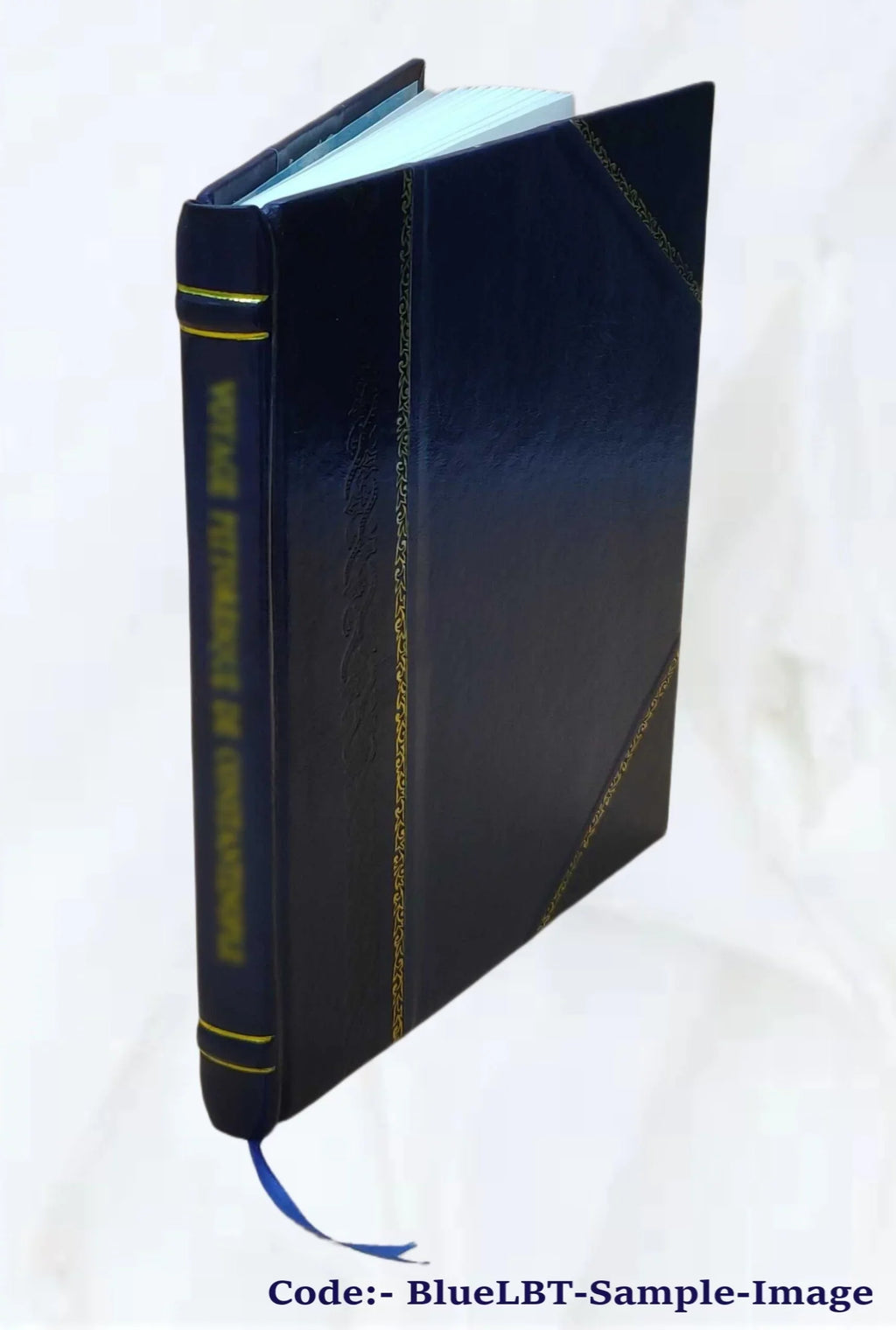 The geology of the country around Carlisle. (Explanation of sheet 107; with parts of 101 & 106 old series; sheets 16 & 17; with parts of 12; 18; 22 & 23 new series) By T. V. Holmes ... Pub. by order o