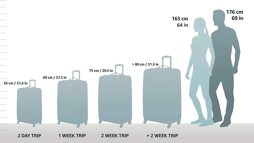 26 cm Medium Pullman (W Garment Bag)