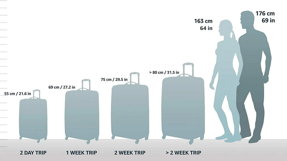 26 cm Medium Pullman (W Garment Bag)
