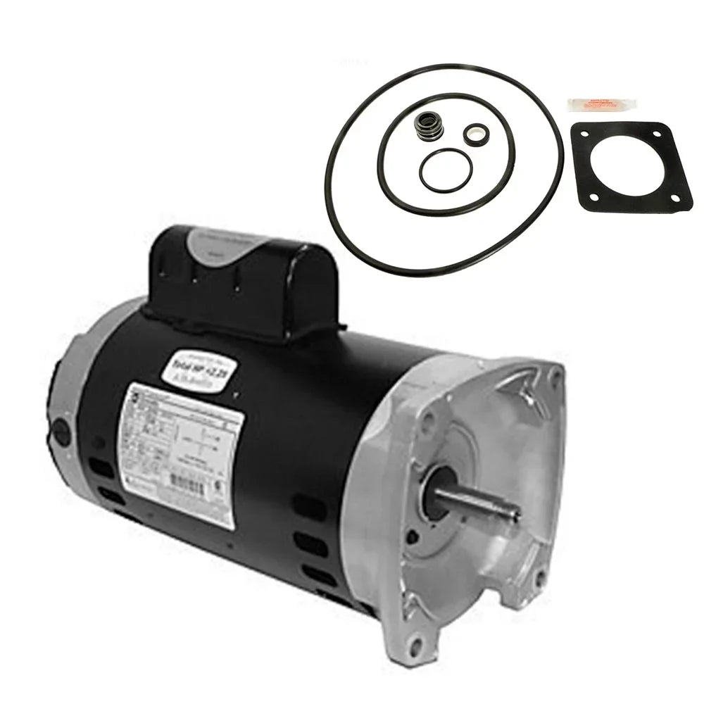 Puri Tech Sta-Rite Max-E-Glas 1.5HP PE5F-126L Replacement Motor Kit AO Smith Century SQ1152 Motor with GO-KIT-6