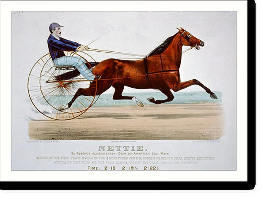 Historic Framed Print; Nettie: by Rysdyk's Hambletonian; dam; and American star mare; 17-7/8" x 21-7/8"
