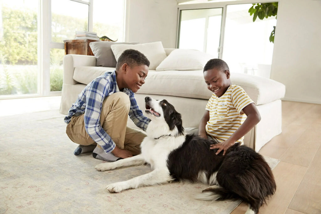 Filtrete by 3M; Smart 16x20x1; MERV 12; Allergen; Bacteria & Virus HVAC Air and Furnace Filter; Captures Allergens; Bacteria; Viruses; 1500 MPR; 4 Filters