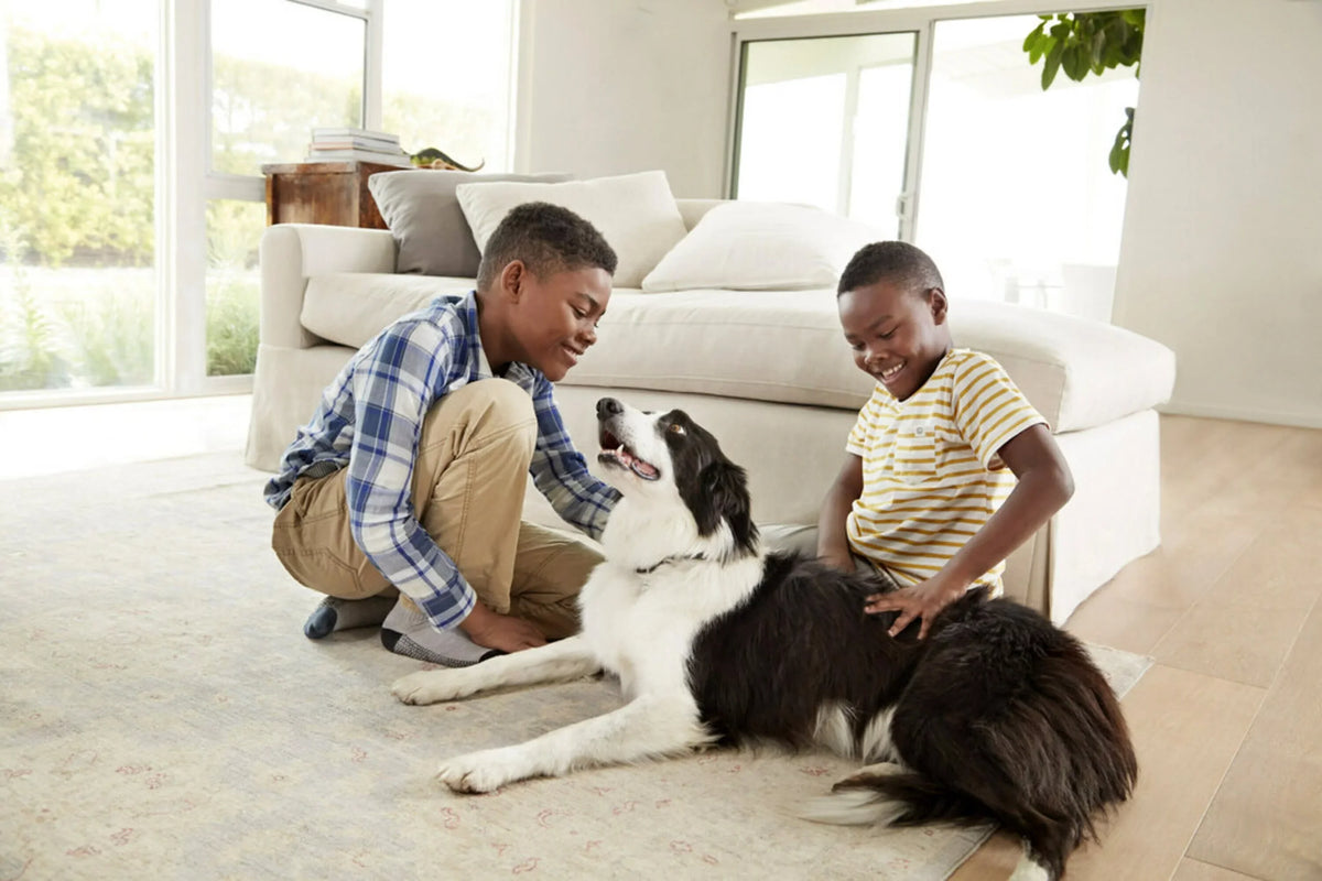 Filtrete by 3M; Smart 16x20x1; MERV 12; Allergen; Bacteria & Virus HVAC Air and Furnace Filter; Captures Allergens; Bacteria; Viruses; 1500 MPR; 4 Filters