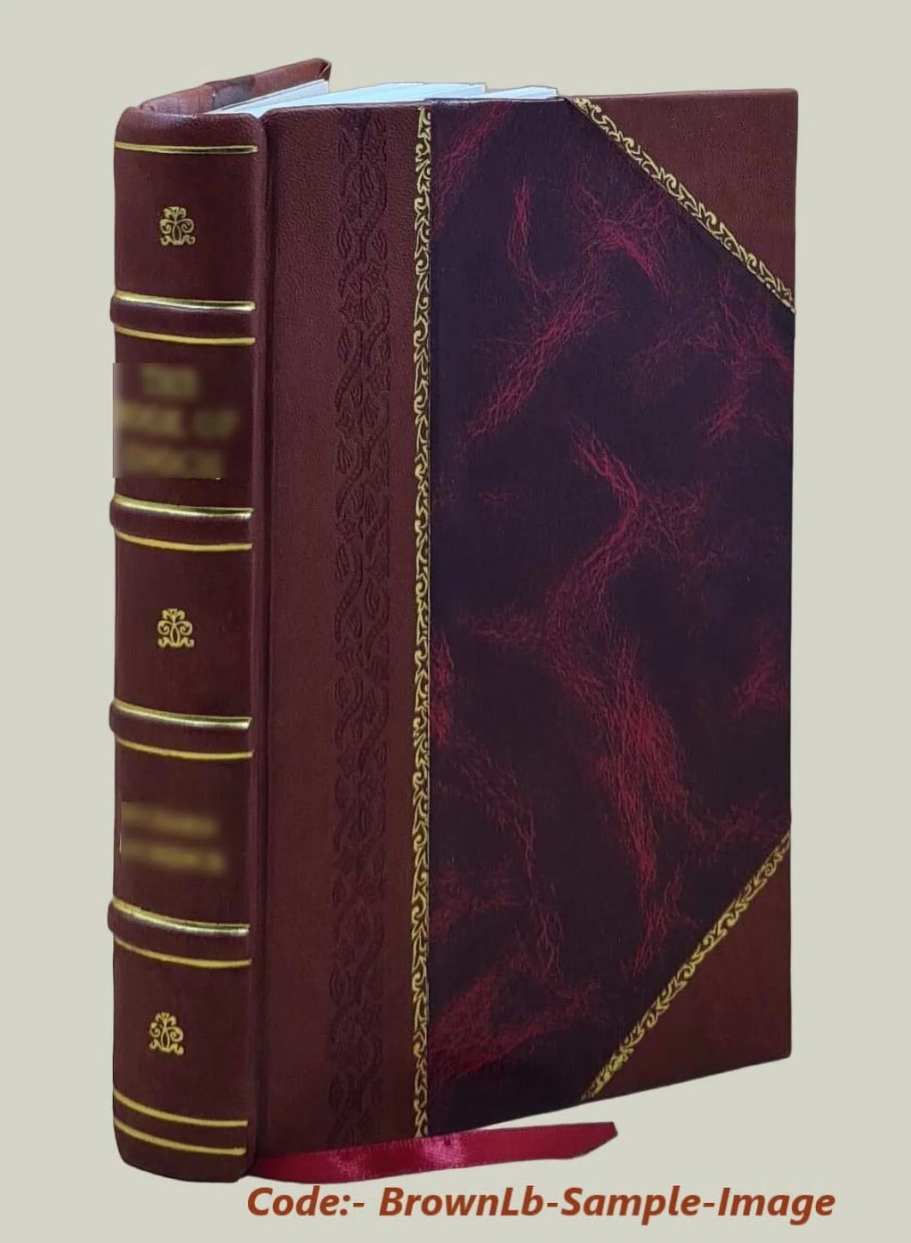 Manuel de philologie classique : d'après le Triennium philologicum de W. Freund; et les derniers travaux de l'érudition / par Salomon Reinach. 1884 [Leather Bound]