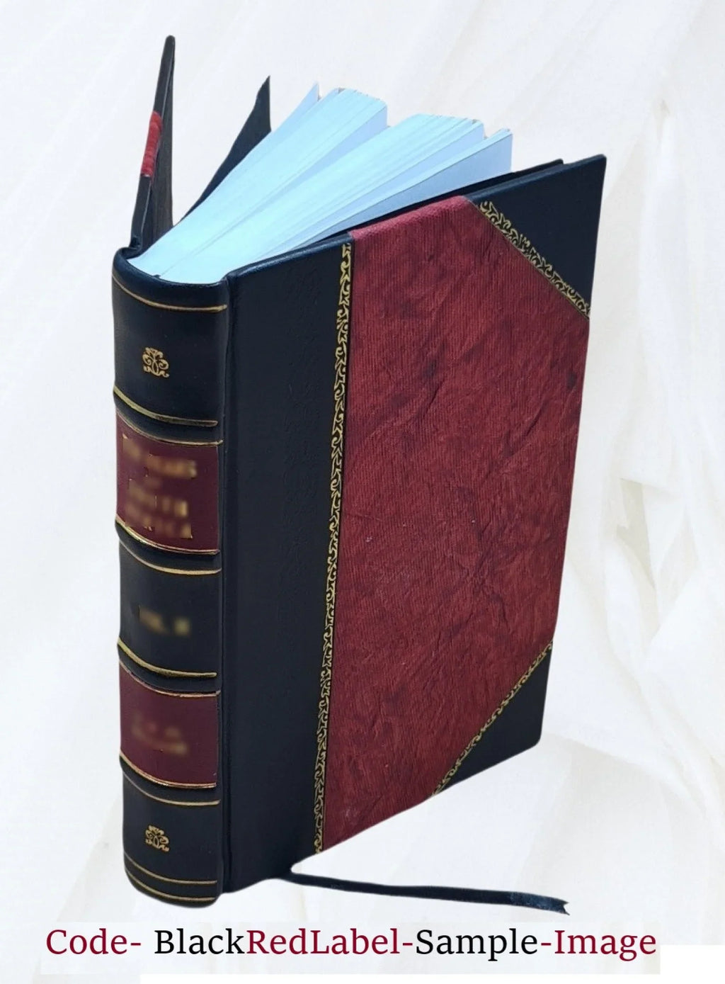 Cartier to Frontenac geographical discovery in the interior of North America in its historical relations; 1534-1700 : with full cartographical illustrations from contemporarysources / by Justin Winsor
