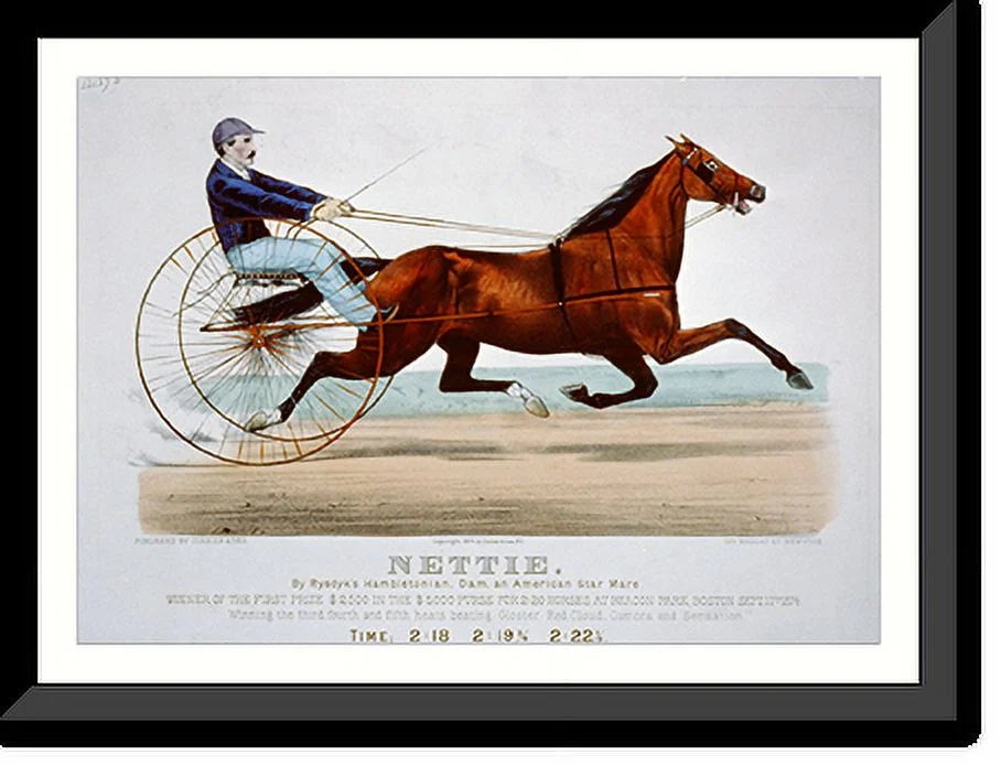 Historic Framed Print; Nettie: by Rysdyk's Hambletonian; dam; and American star mare; 17-7/8" x 21-7/8"