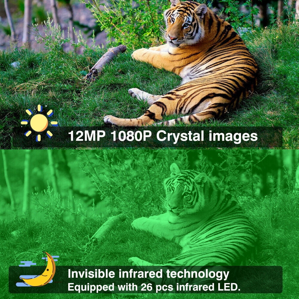Infrared Trail Camera;DFITO Wildlife Monitor; 1080P; 12MP; Home Security; Farm Monitoring; Hunting Trail Monitor; Hunting Wildlife Camera Liquidproof (SD Card NOT Included)